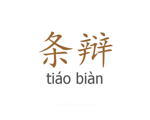 条辩