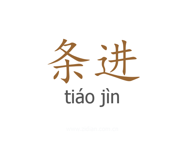 条进