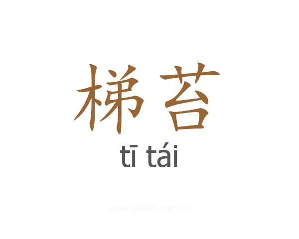 梯苔