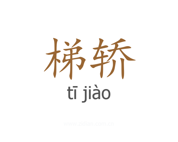梯轿