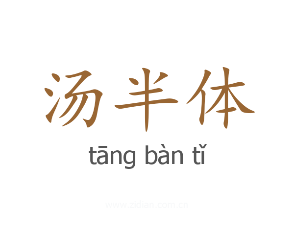 汤半体