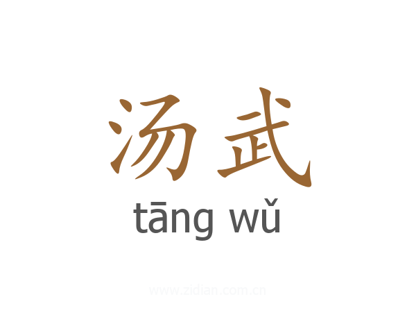 汤武