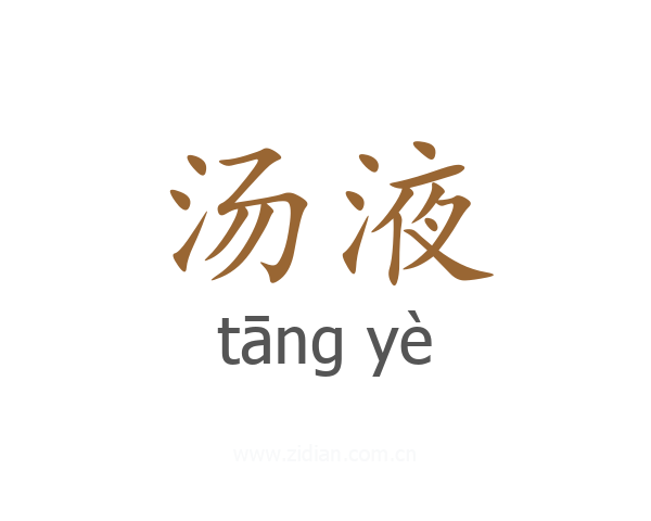 汤液