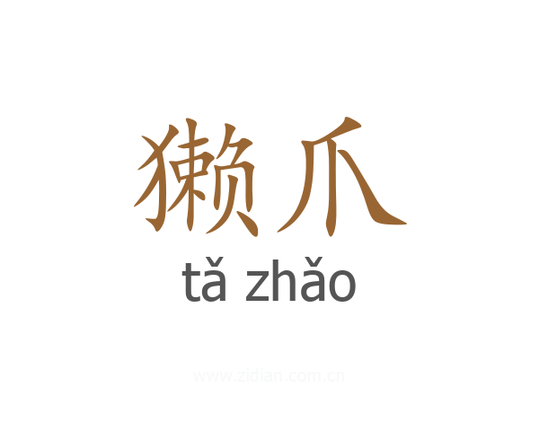 獭爪