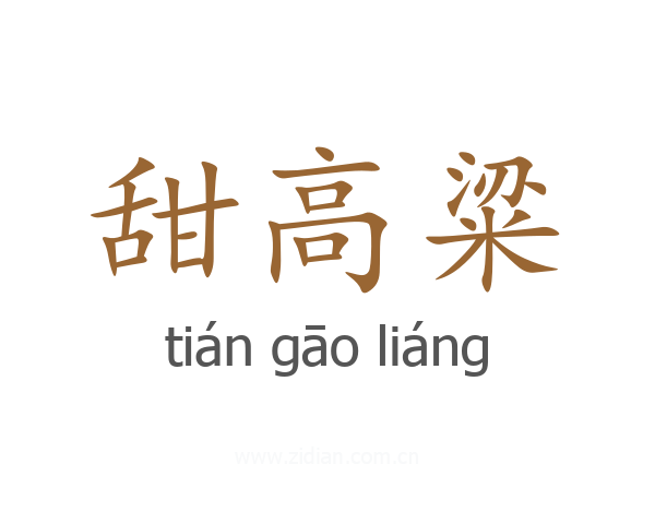 甜高粱