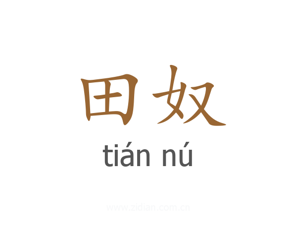 田奴
