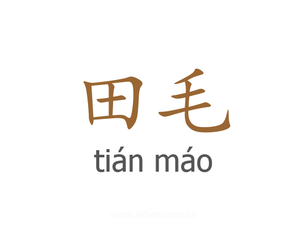 田毛