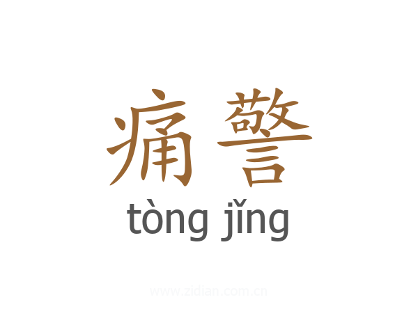 痛警