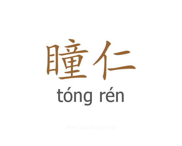 瞳仁