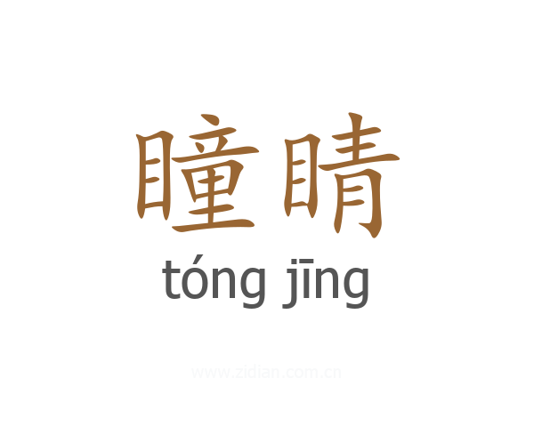 瞳睛