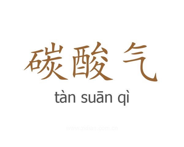 碳酸气