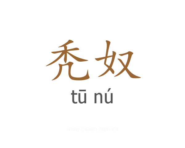 秃奴