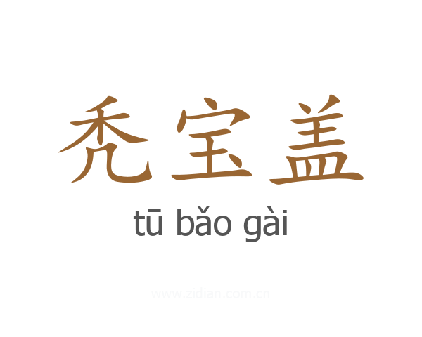 秃宝盖