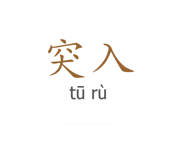 突入