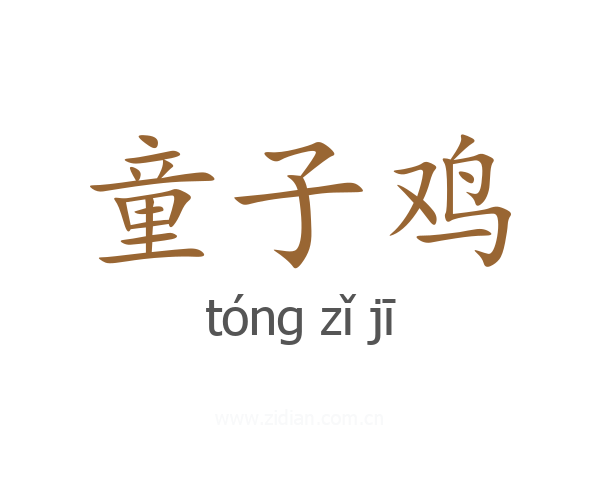 童子鸡
