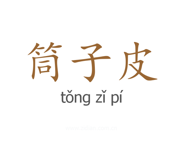 筒子皮