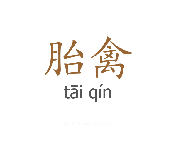 胎禽