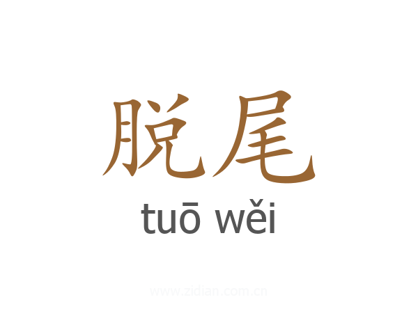 脱尾