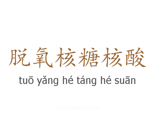 脱氧核糖核酸