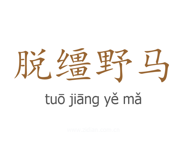 脱缰野马