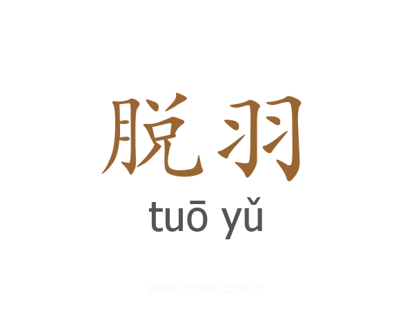 脱羽