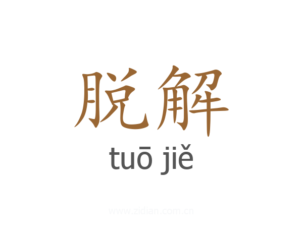 脱解