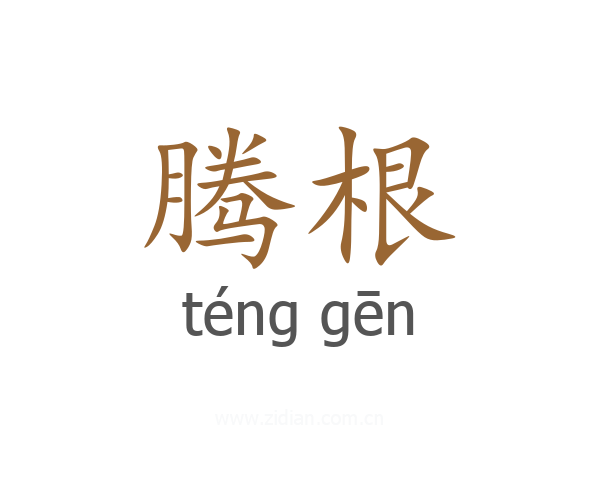 腾根