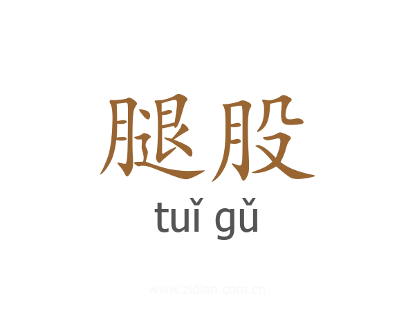 腿股