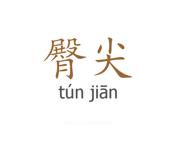 臀尖