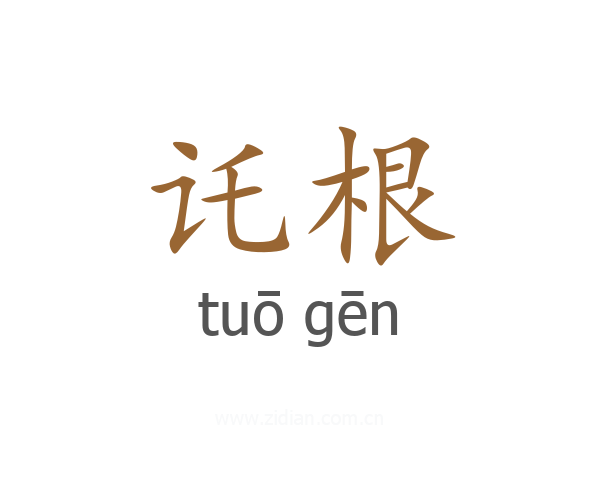 讬根