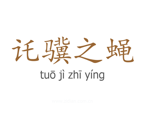 讬骥之蝇