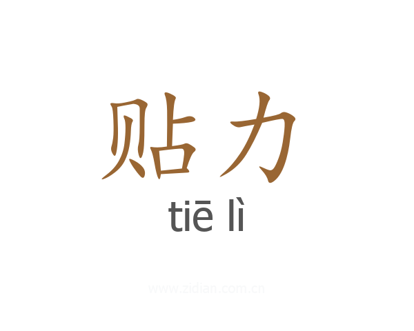 贴力