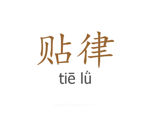 贴律