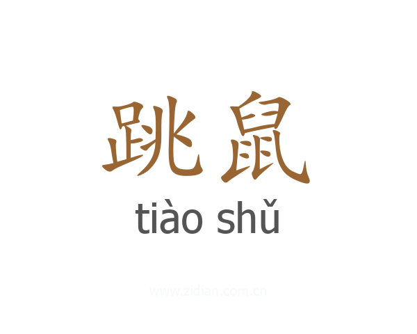 跳鼠