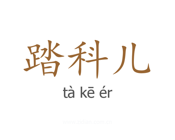 踏科儿