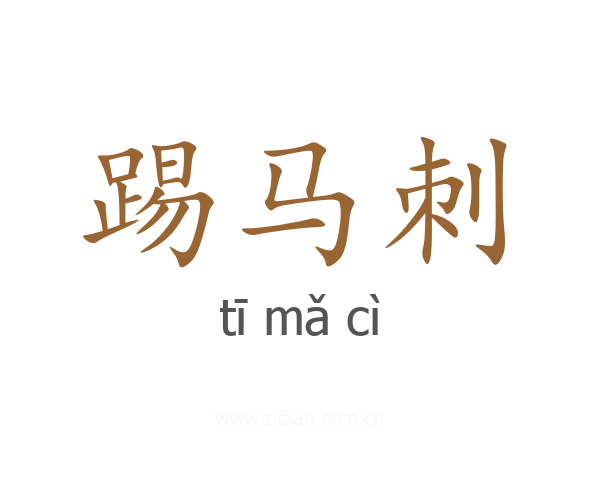 踢马刺