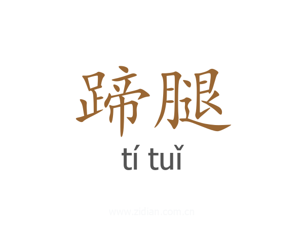 蹄腿