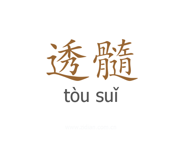 透髓