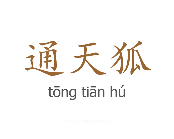 通天狐