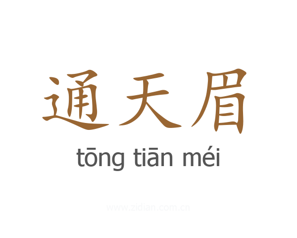 通天眉