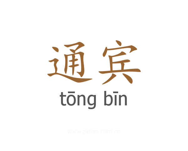通宾