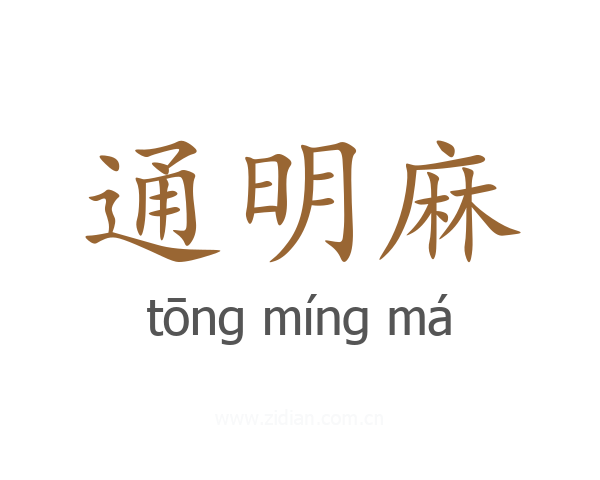 通明麻