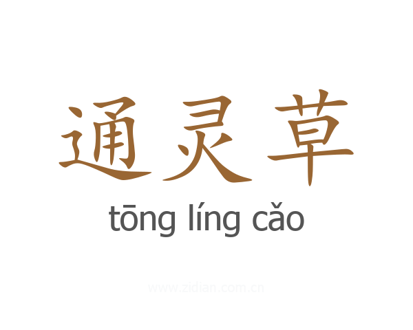 通灵草