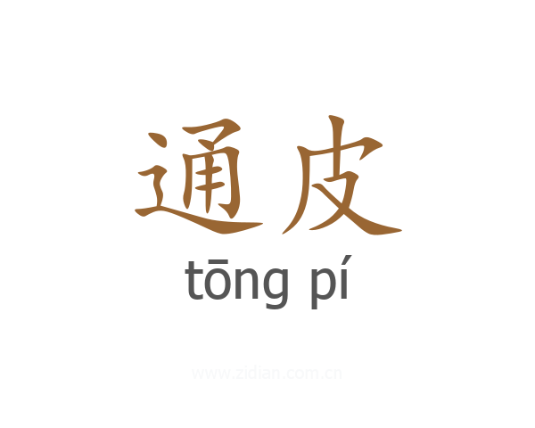 通皮