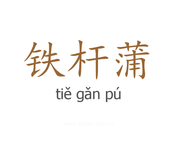 铁杆蒲