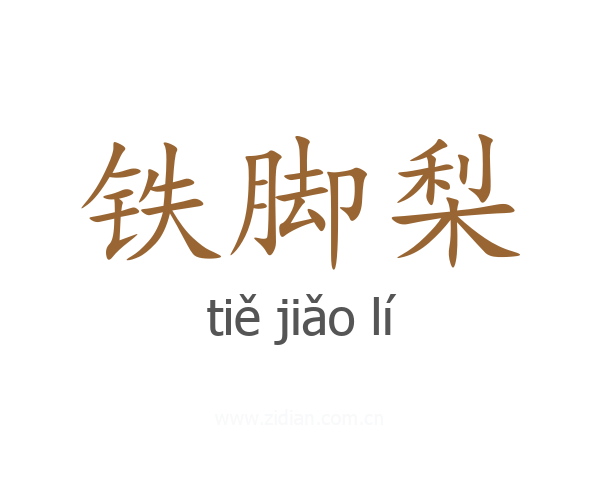 铁脚梨