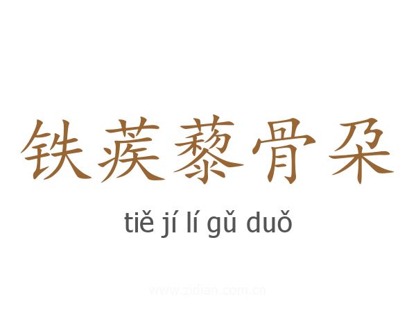 铁蒺藜骨朶