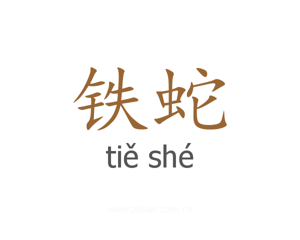 铁蛇
