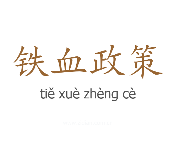 铁血政策