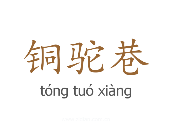 铜驼巷